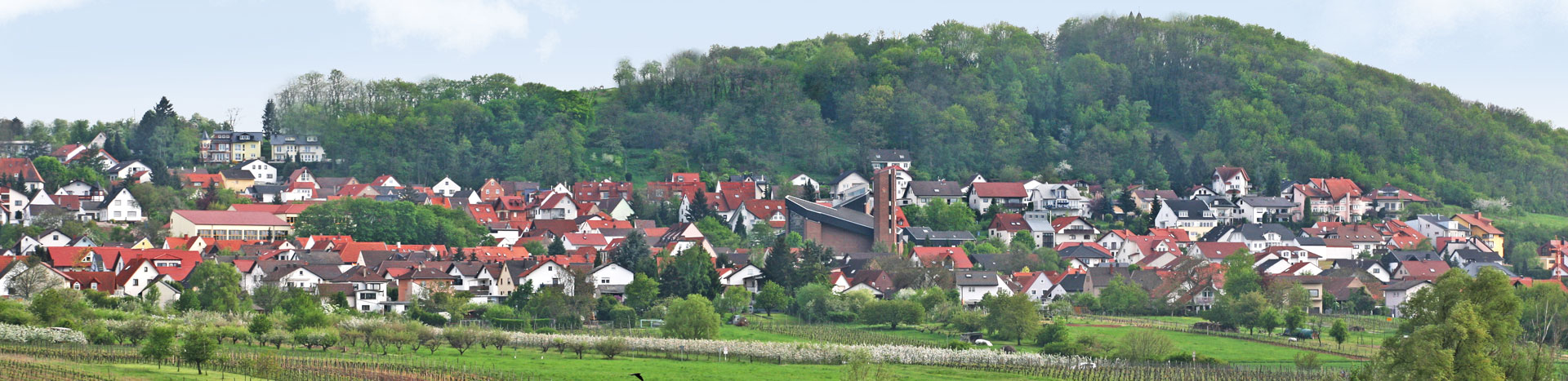 Wechselbild der Gemeinde