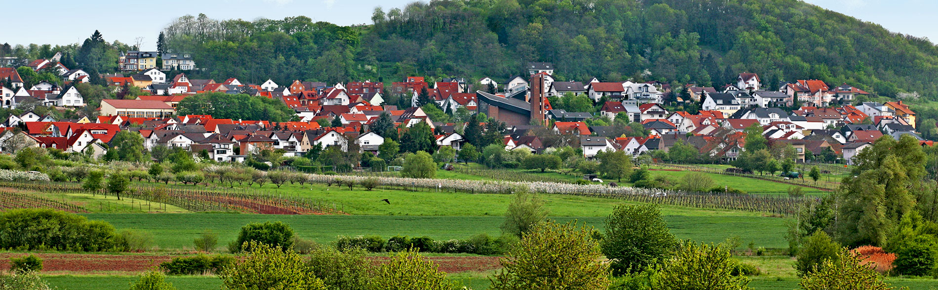 Wechselbild der Gemeinde