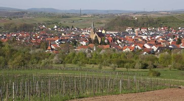 Blick auf Rauenberg